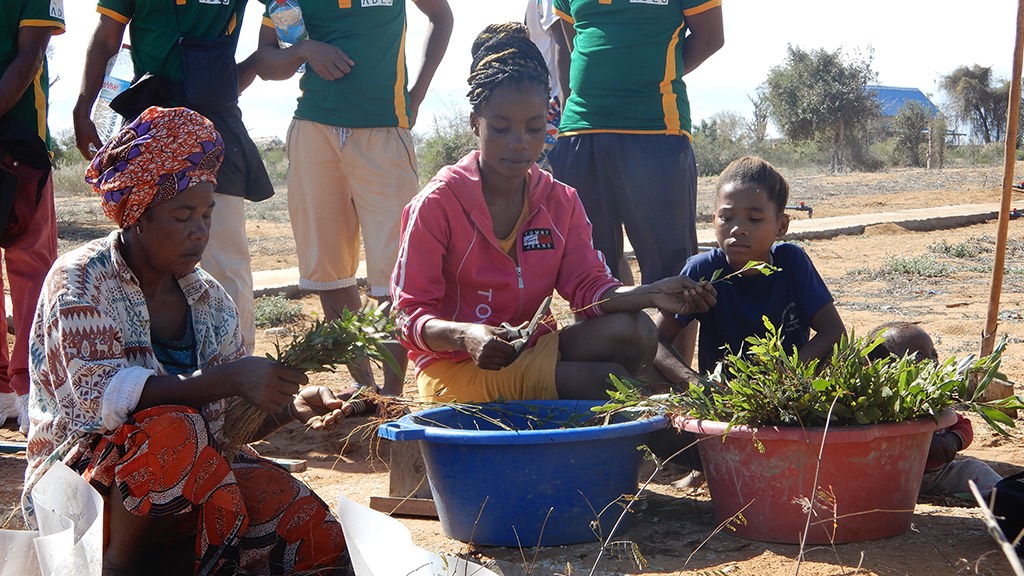 a group of people sitting around a group of potted plants.