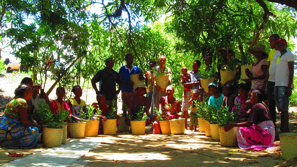 a group of people sitting under a tree.