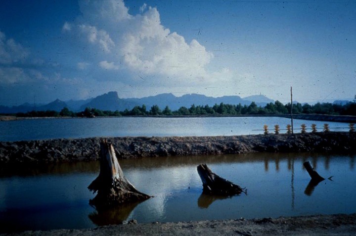 a lake with trees and mountains in the background.