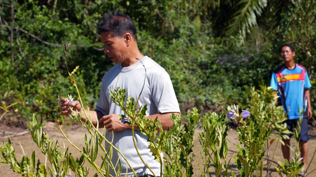 a man in a blue shirt standing next to a plant.