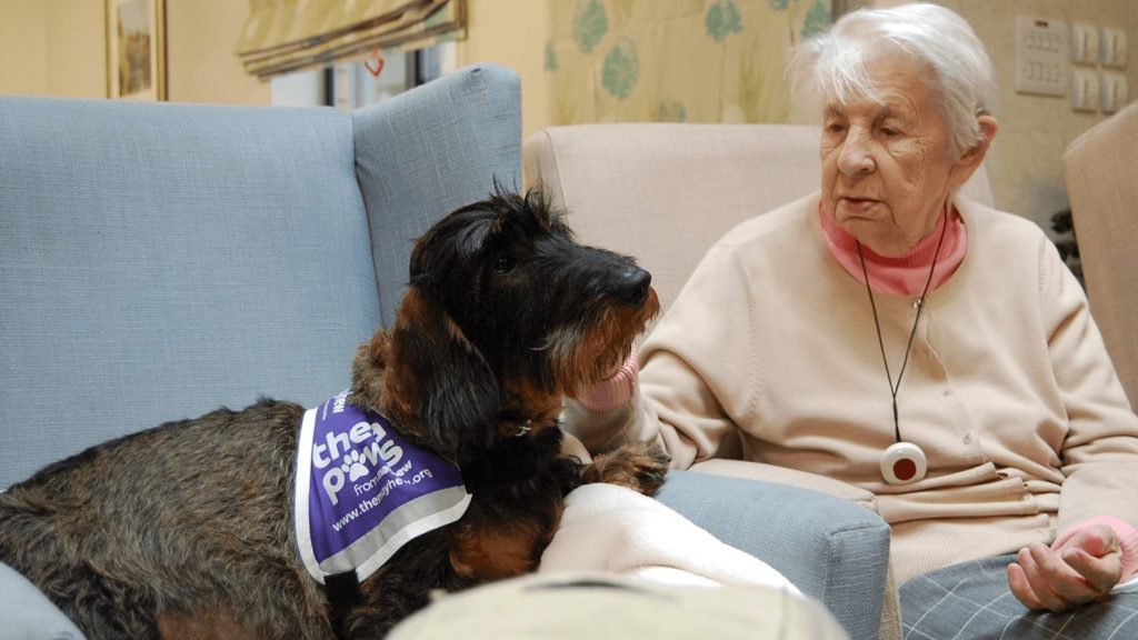 an elderly woman sits on a couch with a dog.