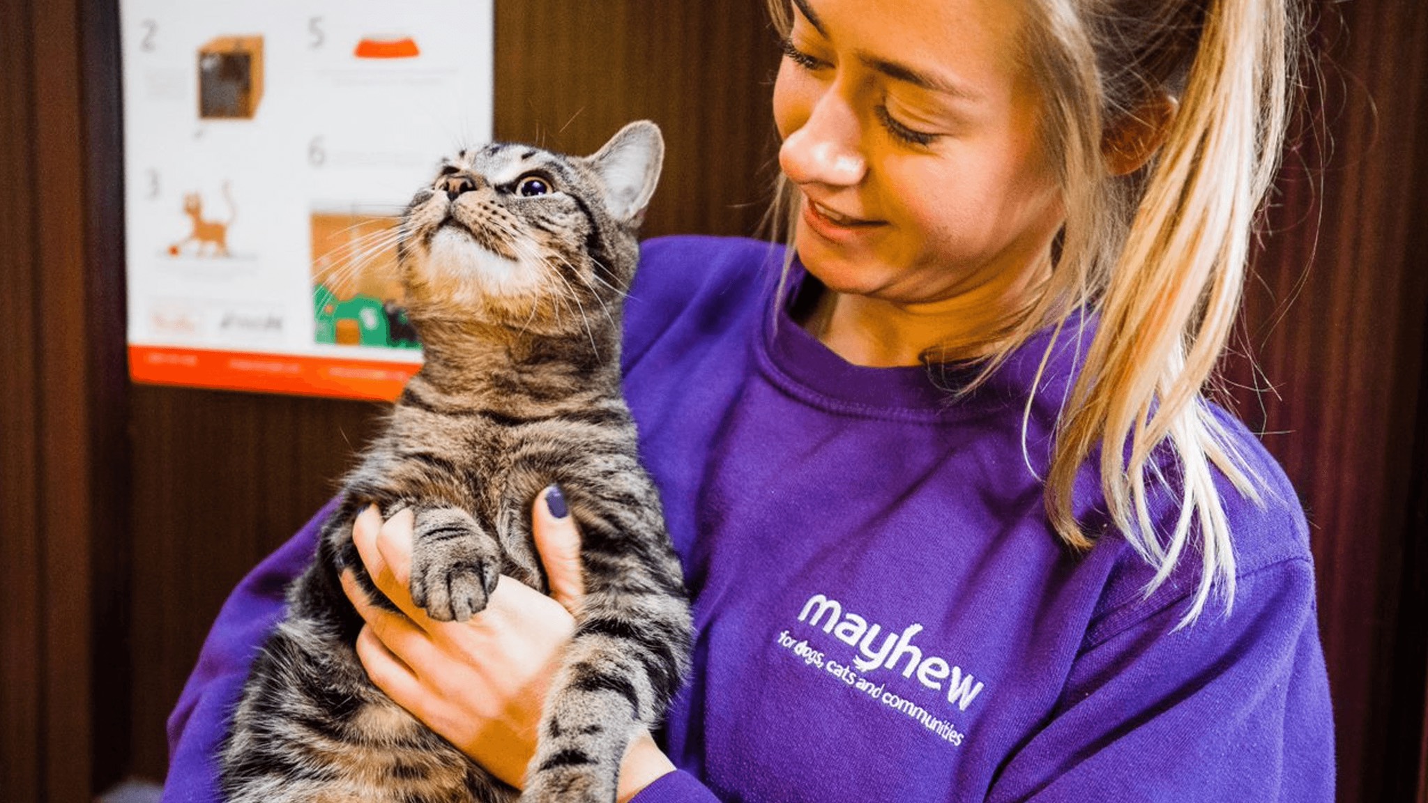 a woman holding a cat in a purple shirt.
