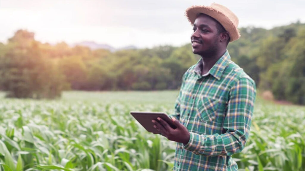 A man in a plaid shirt and straw hat holds a tablet while standing in a field of crops with greenery in the background.