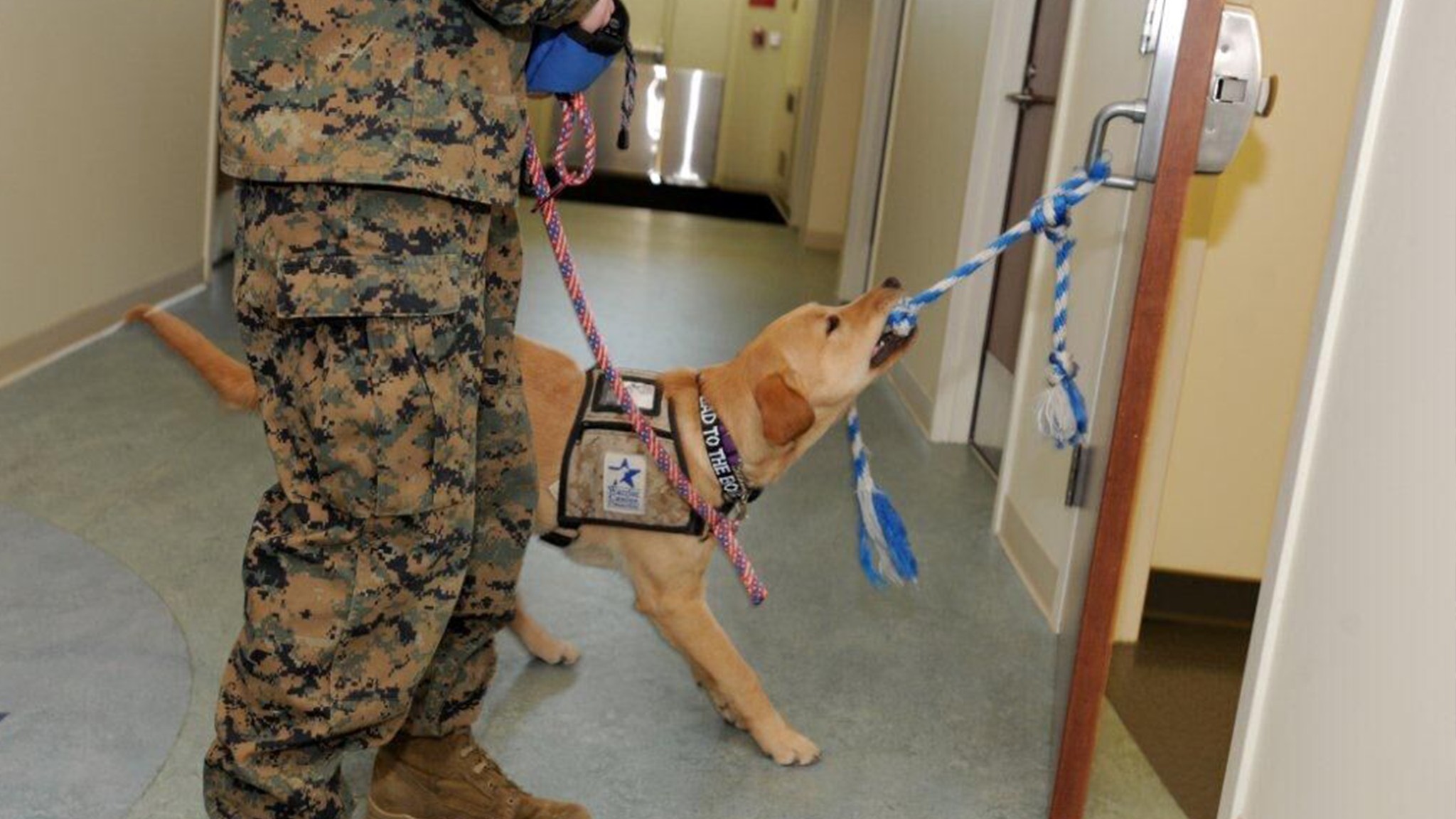 a military man is holding a leash to a dog.