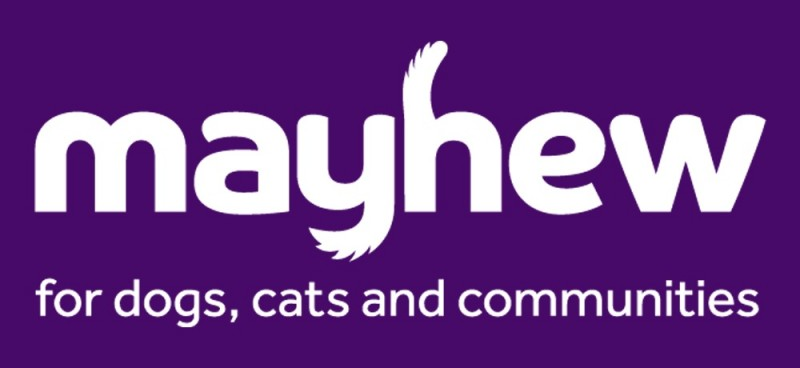 mayhew for dogs, cats and communities.