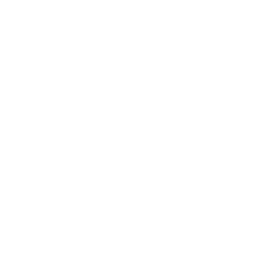 pir logo white